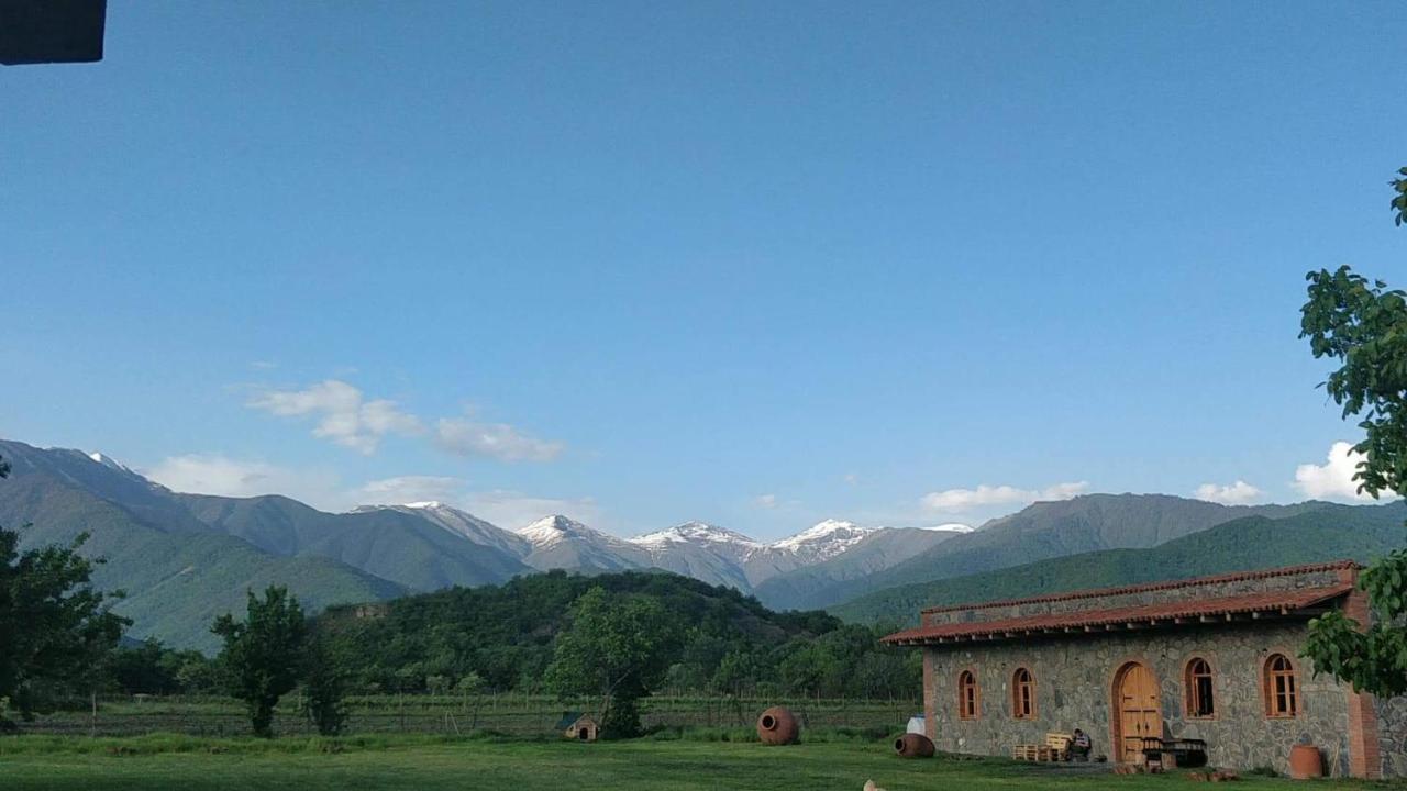 Chubini Winery & Cabins Qwareli Exterior foto