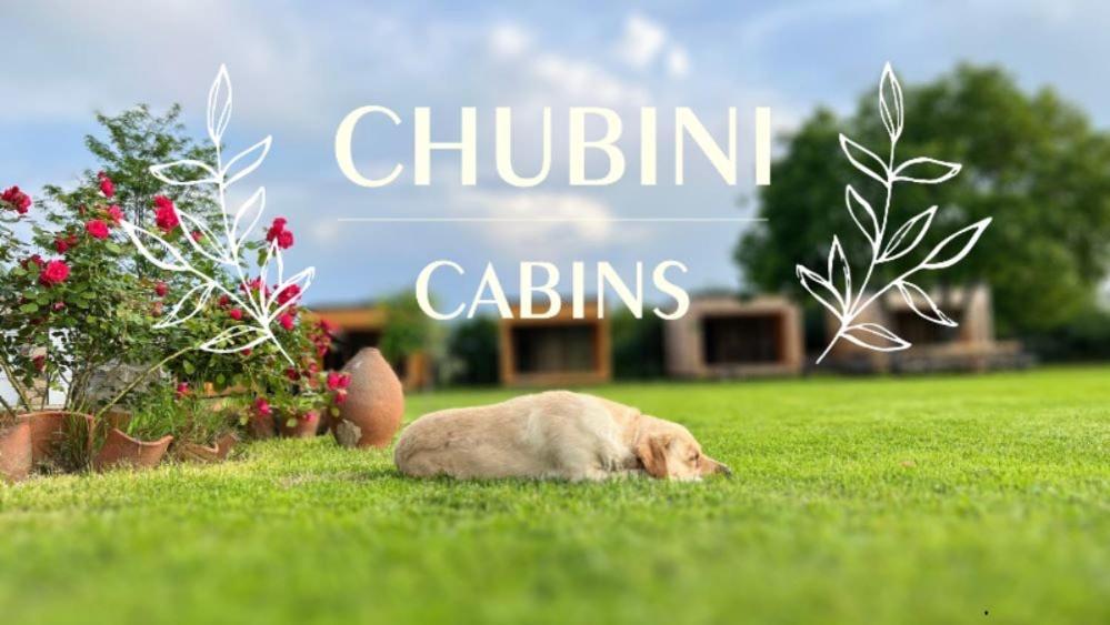 Chubini Winery & Cabins Qwareli Exterior foto