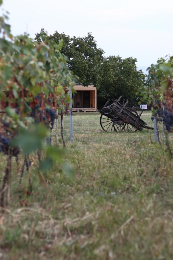 Chubini Winery & Cabins Qwareli Exterior foto
