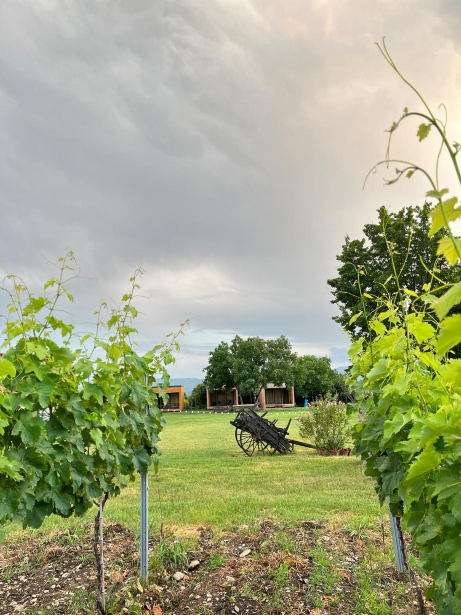 Chubini Winery & Cabins Qwareli Exterior foto