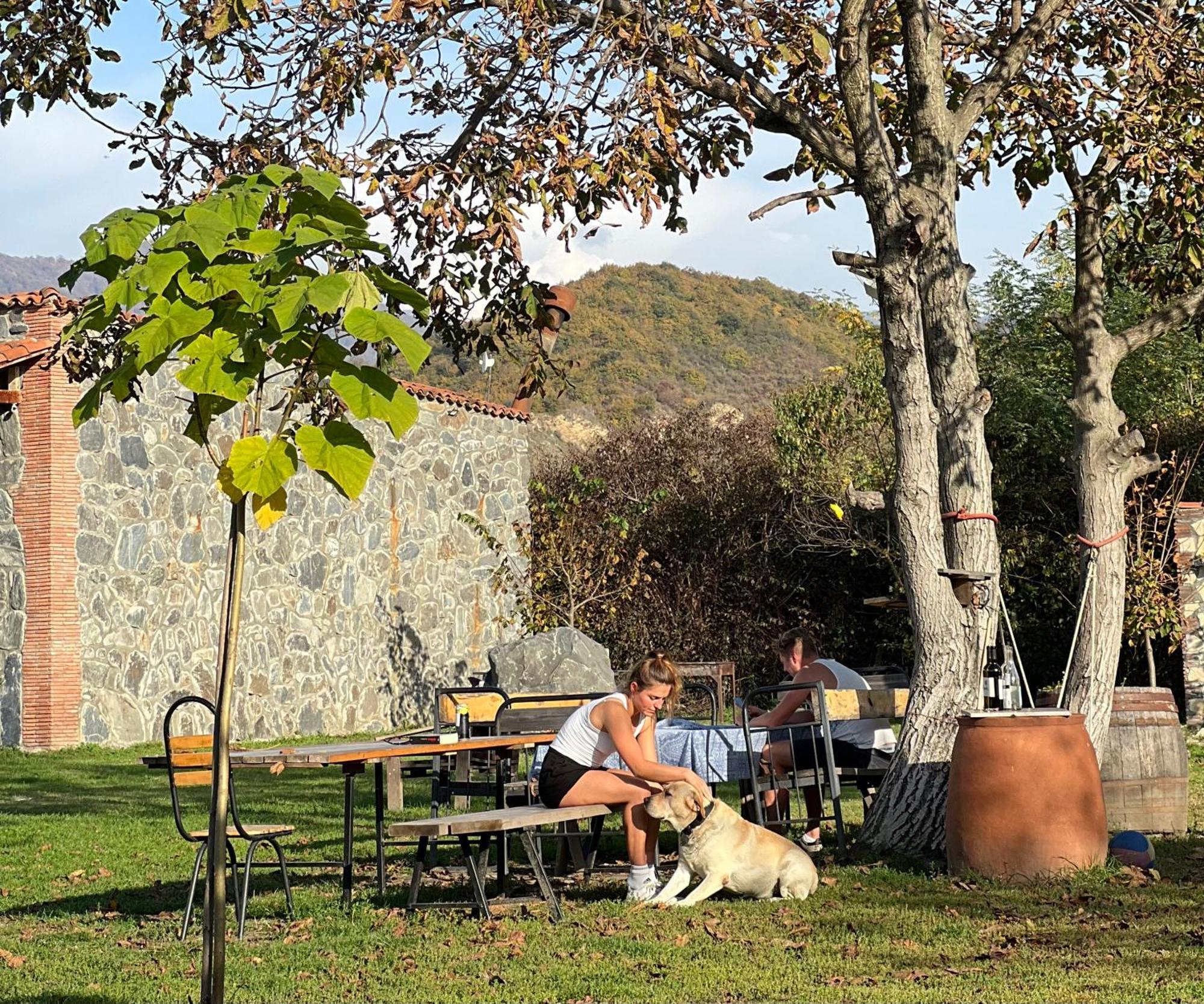 Chubini Winery & Cabins Qwareli Exterior foto