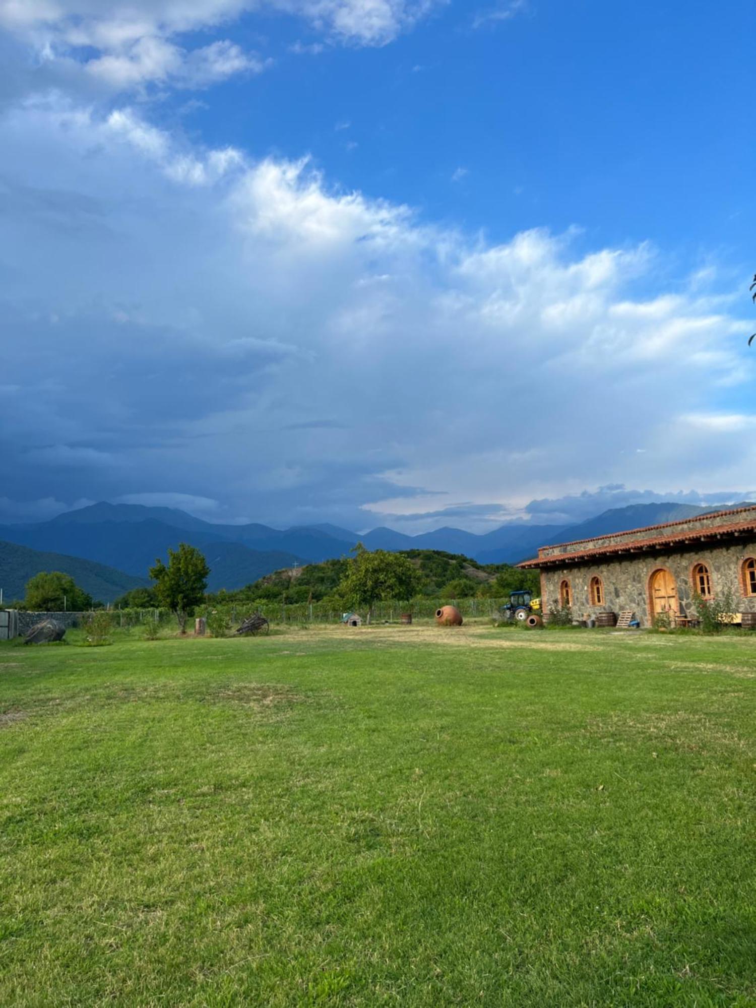 Chubini Winery & Cabins Qwareli Exterior foto