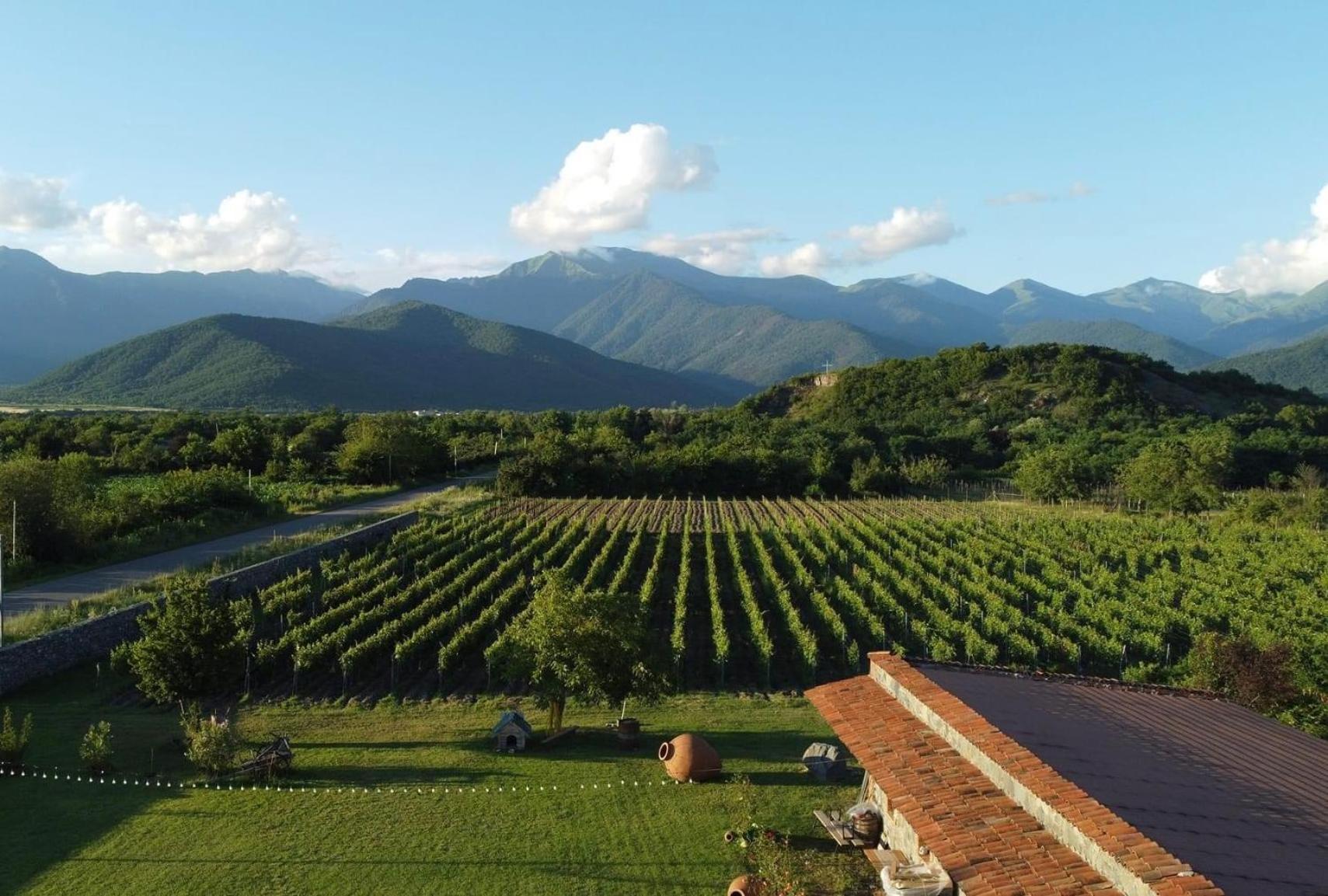 Chubini Winery & Cabins Qwareli Exterior foto