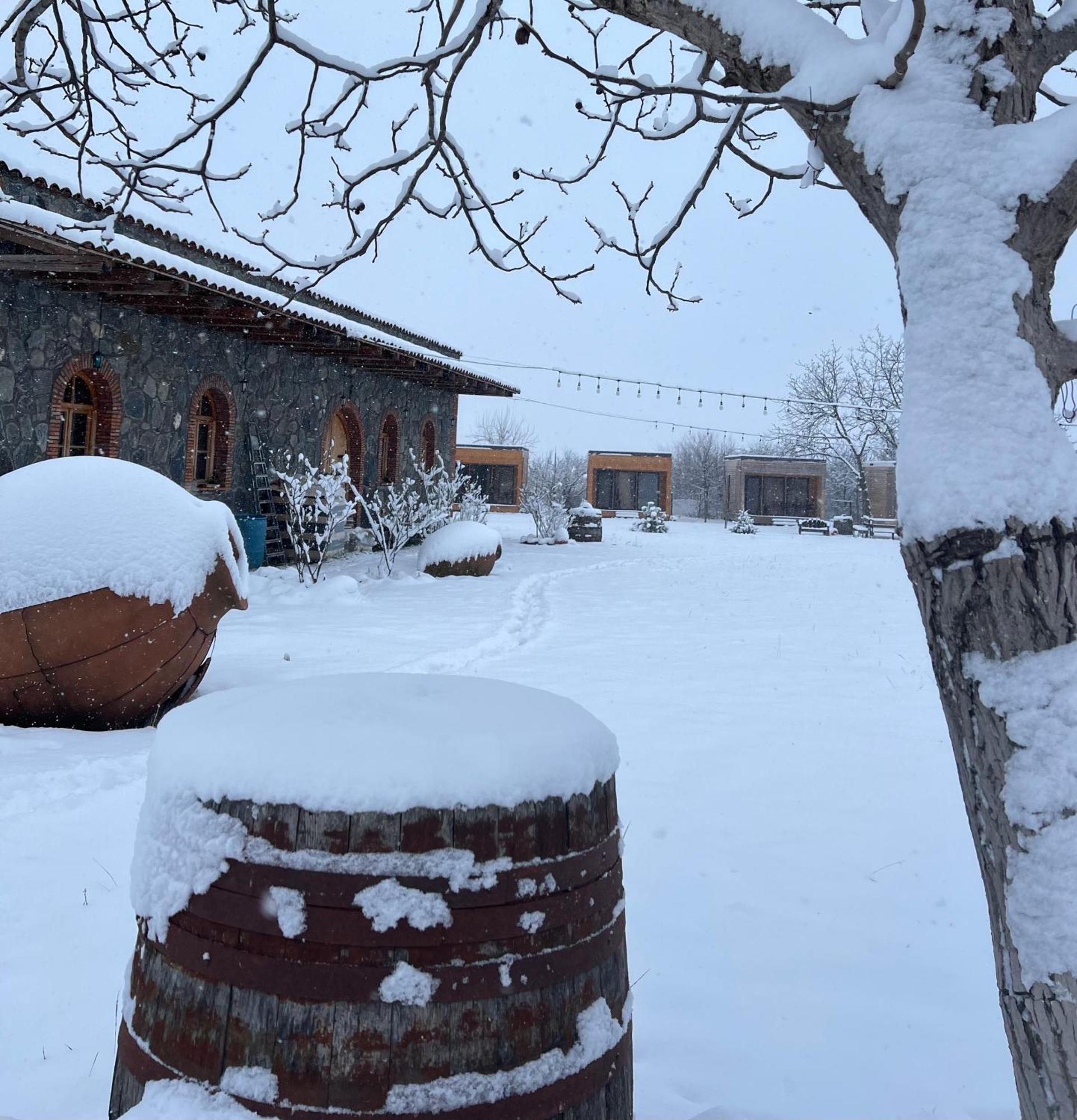 Chubini Winery & Cabins Qwareli Exterior foto