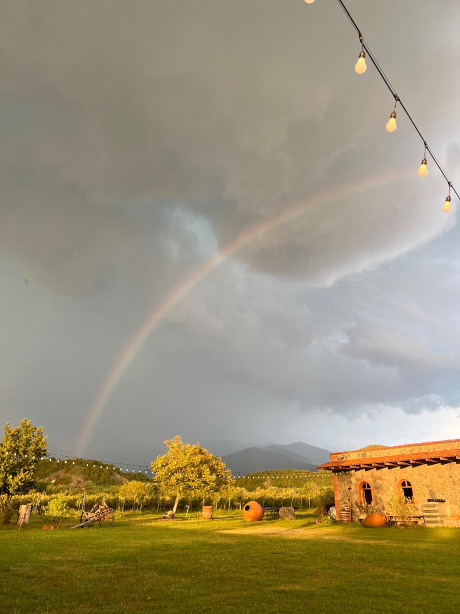 Chubini Winery & Cabins Qwareli Exterior foto